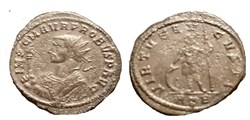 Probus Rome MPR 263
