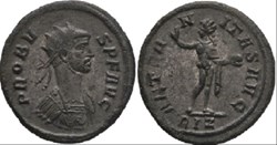Probus Rome MPR 500