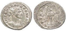 Probus Rome MPR 023