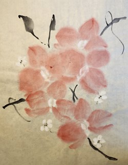 Butterfly orchids