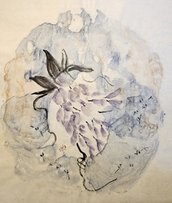 Wisteria