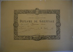 Diplôme de greffage décerné par la chaire d'agriculture du Loir-et-Cher à Alcide Chicoineau