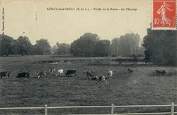 Pâturage d'Aunay-sous-Crécy