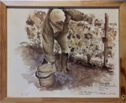 Les Vendanges 2020 à Flora Gallica