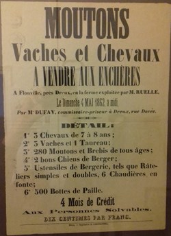 Vente de moutons, vaches et chevaux