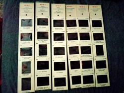 Photo negatives