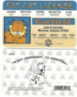 Garfield Novelty License