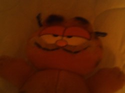 Garfield Plush