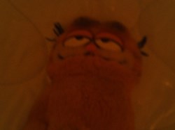 Garfield Plush