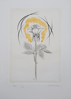 Gravure André Gastmans