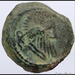 CL série 10.1 - Bronze TATINOS