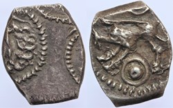 Rutènes - Drachme au sanglier