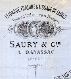Saury (1878)