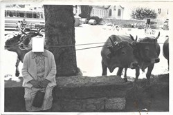 Près Commun 1983