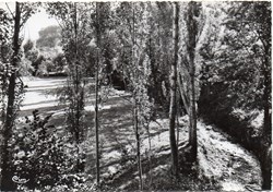 C03 - 205 - Les bords de l'Urugne