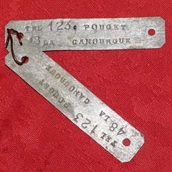 Plaque d'identification (chien,...)