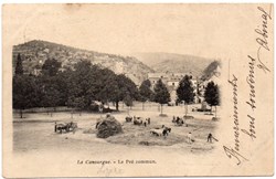 C02 - Le Pré Commun