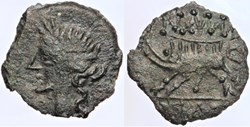 Nîmes- Bronze au sanglier