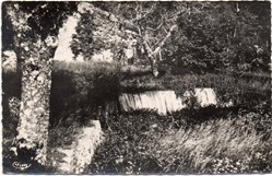 C36 - 52 - Source de St-Frézal