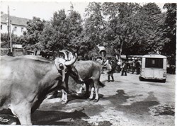 C03 - 200 - Le Foirail