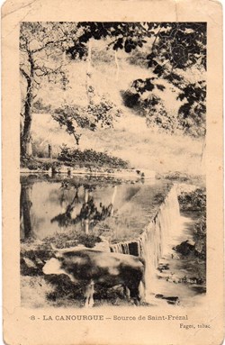 C08 - 08 - Source de Saint-Frézal