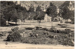 C07 - Dépiquaison au Pré commun