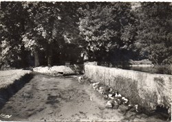 C03 - 44 - Source de St-Frézal