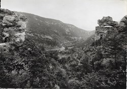 C10 - 1549 - Route des Gorges du Tarn