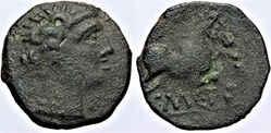 Volques Arécomiques - Bronze CEMP
