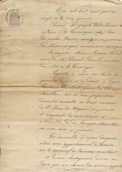 1880 - vente de châtaigneraies