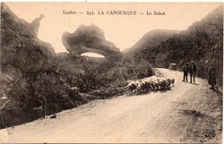C27 - 494 - Le Sabot