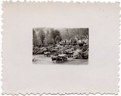 Journée des prisonniers, 10 mai 1944