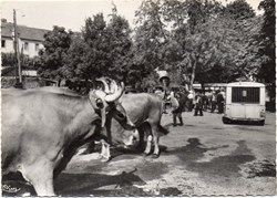 C03 - 200 - Le Foirail