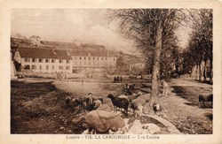 C03 - 715 - Les Ecoles