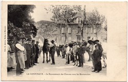 C04 - Le Recensement des Chevaux