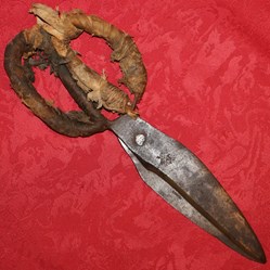 Triadou à Marvejols