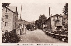 C14 - L'Avenue des Gorges du Tarn