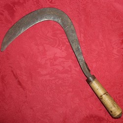 Comte Cadet à la Canourgue