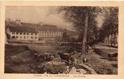 C03 - 715 - Les Ecoles