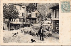 C04 - Passage d'un Abeillard au Portail