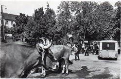 C36 - 200 - Le Foirail