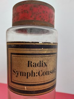 Radix Symph:Consol: