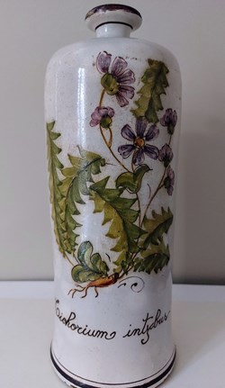 Bouteille en grès décorée " Cichorium intybus"