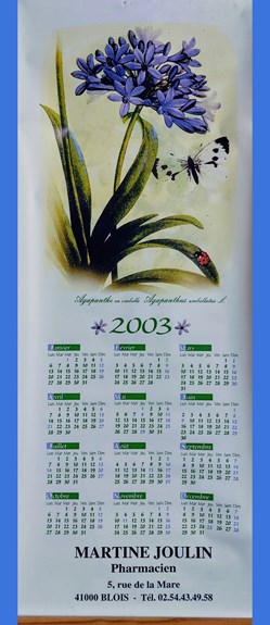 CALENDRIER 2003 _ Agapanthe