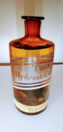 Tinct : Hydrast : Canad : Flacon verre ambré