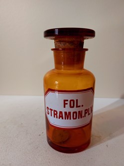 FOL. STRAMON. PL.