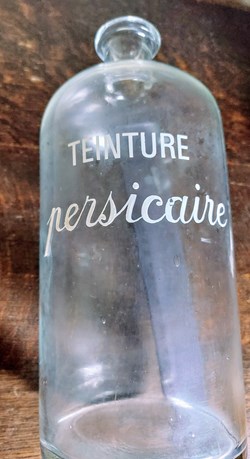 Armée : Teinture PERSICAIRE