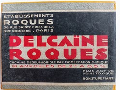 DELCAÏNE ROQUES 10 ampoules