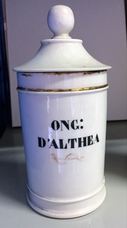 ONG:d'ALTHEA
