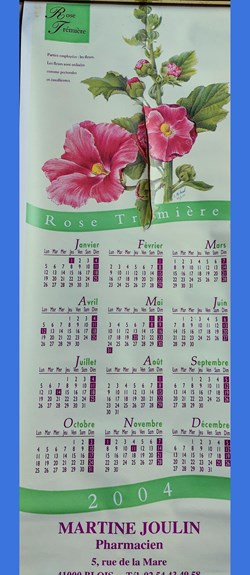 CALENDRIER 2004 _ Rose trémière